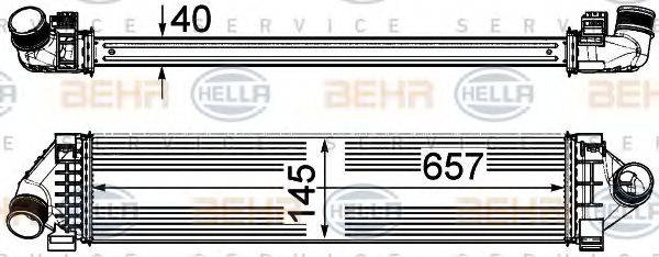 FORD 6G919L440FE Інтеркулер