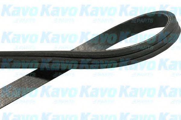 KAVO PARTS DMV1030 Полікліновий ремінь