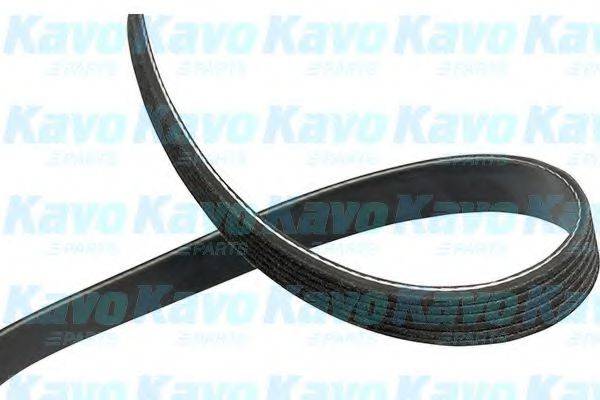 KAVO PARTS DMV-4548