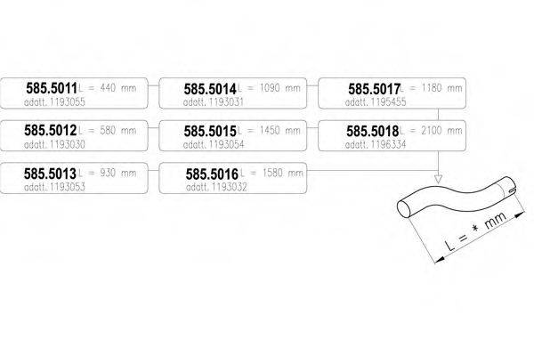 ASSO 585.5017