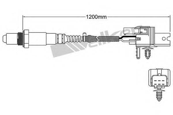 WALKER PRODUCTS 250-25006