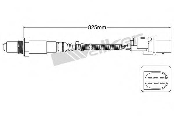 WALKER PRODUCTS 800-95010