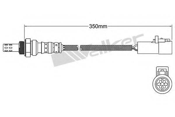 WALKER PRODUCTS 250-24939