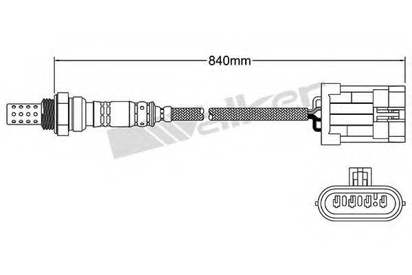 WALKER PRODUCTS 250-24406
