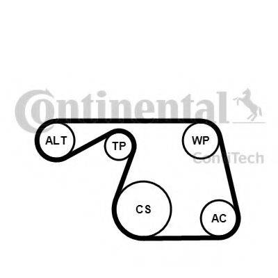 CONTITECH 6PK1310K1