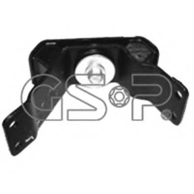 GSP 517619
