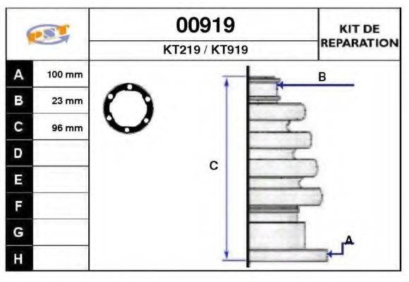SNRA 00919
