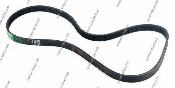 NPS T111A66