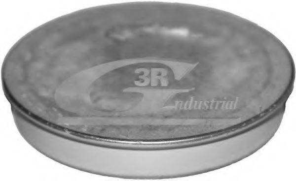 3RG 84702 Запобіжна кришка, маточина колеса