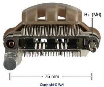 WAIGLOBAL IMR7556