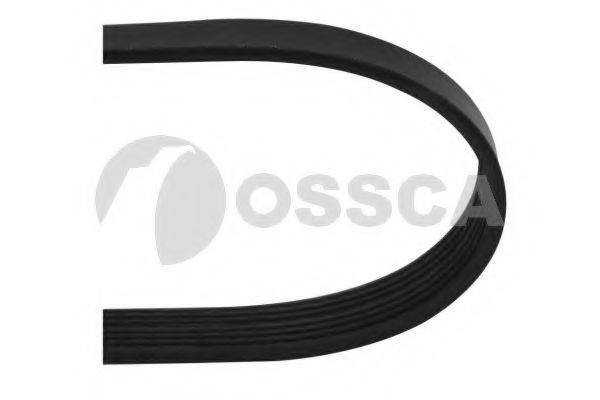 OSSCA 10446