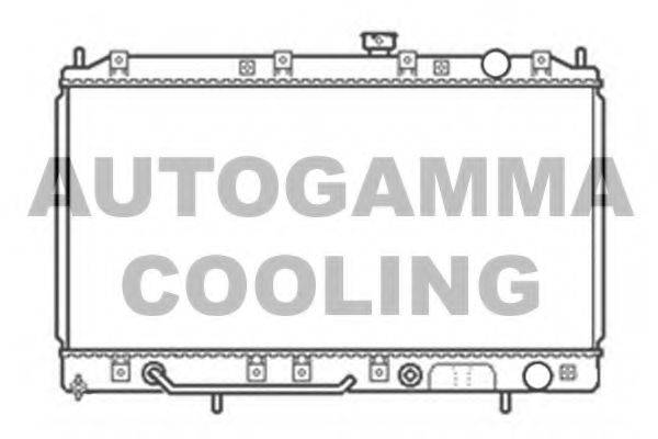 AUTOGAMMA 103962 Радіатор, охолодження двигуна