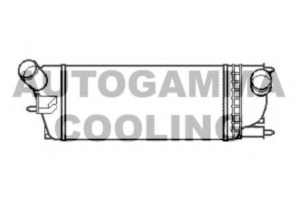 AUTOGAMMA 105190