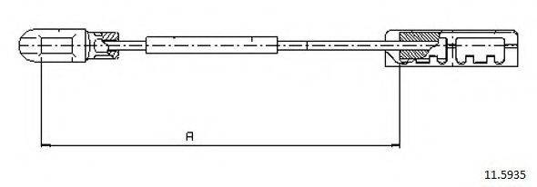 CABOR 11.5935