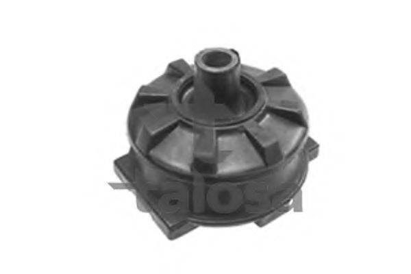 TALOSA 57-01538