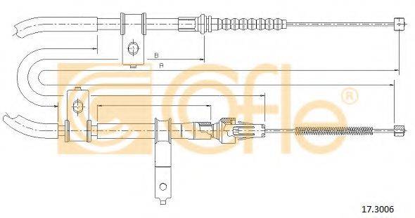 COFLE 17.3006