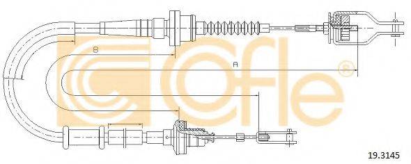 COFLE 19.3145
