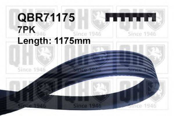 QUINTON HAZELL QBR71175